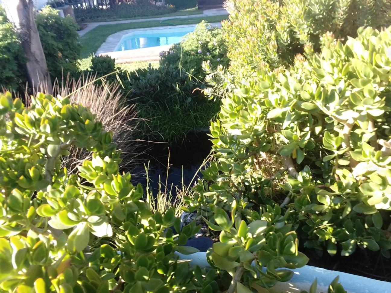 Lambertʼs Bay Coco De Mer Self Catering Log 1 מראה חיצוני תמונה